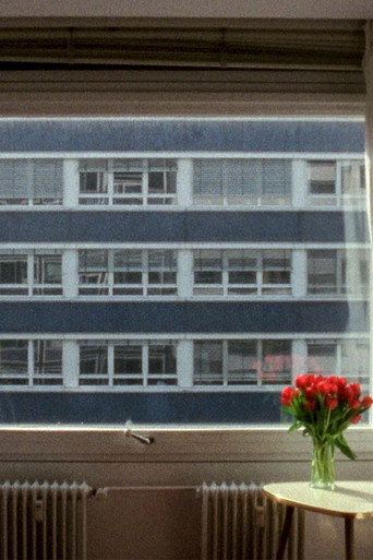 21.3 °C movie poster
