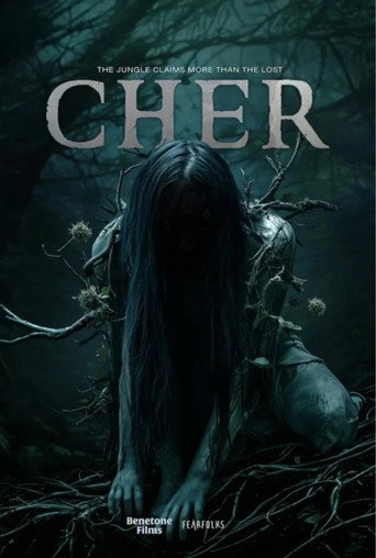 Cher movie poster