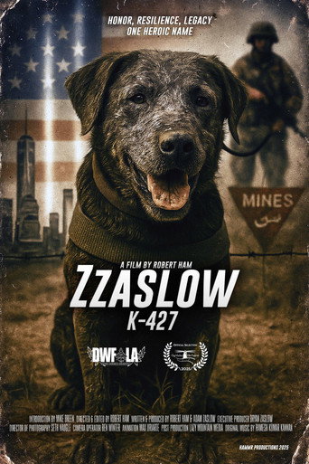 Zzaslow K-427 movie poster