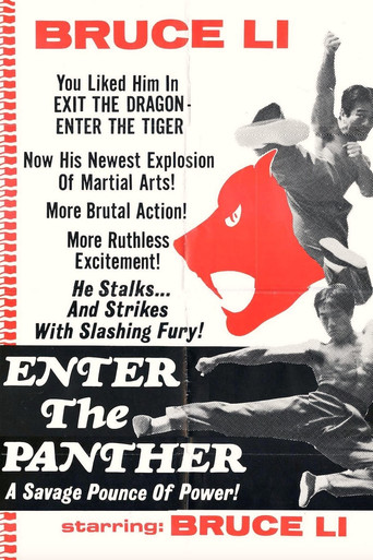 Enter the Panther movie poster