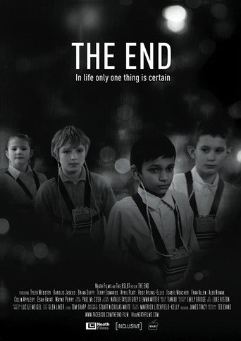 The End movie poster