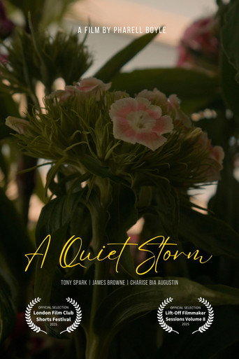 A Quiet Storm movie poster