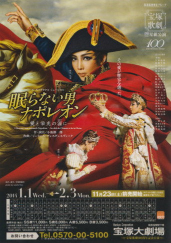 Napoléon, the Man Who Never Sleeps ~At the End of His Love and Glory~ movie poster