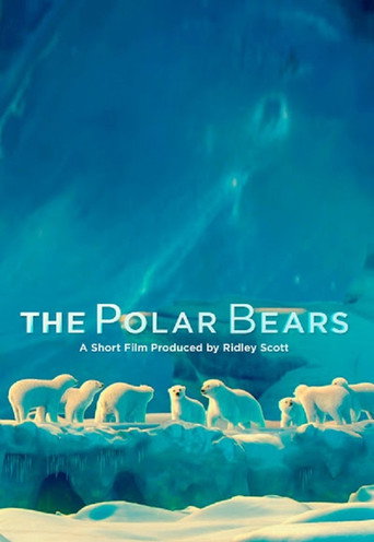 The Polar Bears movie poster