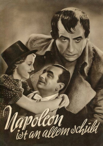 Napoleon Is to Blame for Everything movie poster