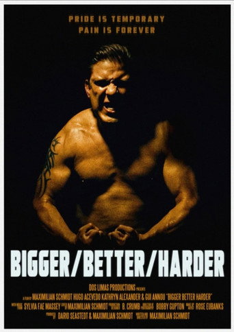 Bigger/Better/Harder movie poster