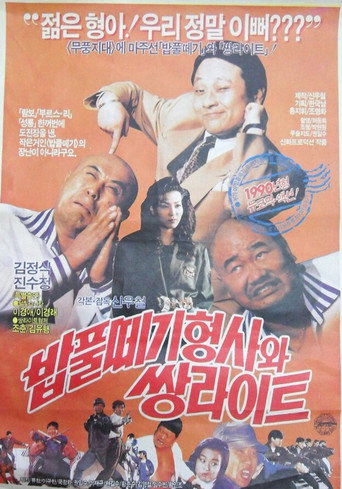 The Doofus Detective And The Twin Light Brothers movie poster