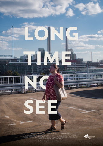 Long Time No See movie poster