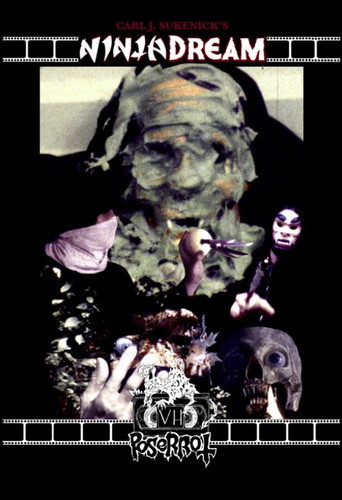Ninja Dream movie poster