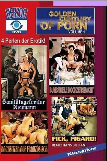 Golden Century of Porn movie poster