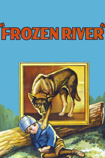 Frozen River movie poster