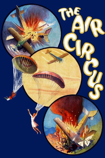 The Air Circus movie poster
