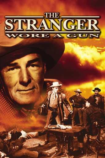 The Stranger Wore a Gun movie poster