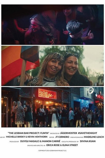 The Lesbian Bar Project: FLINTA movie poster