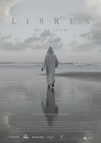Libres movie poster