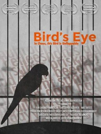 Bird's Eye movie poster
