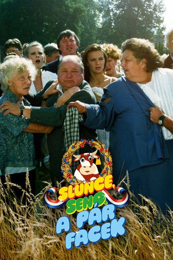 Sun, Hay and a Couple of Slaps movie poster