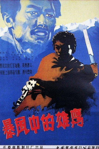 暴风中的雄鹰 movie poster