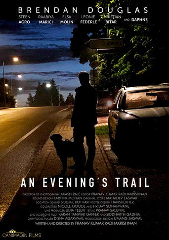 An Evening's Trail movie poster