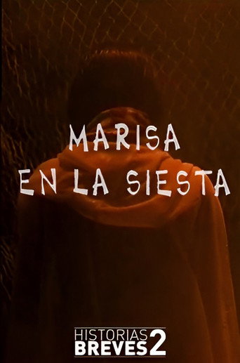 Historias Breves II: Marisa en la Siesta movie poster