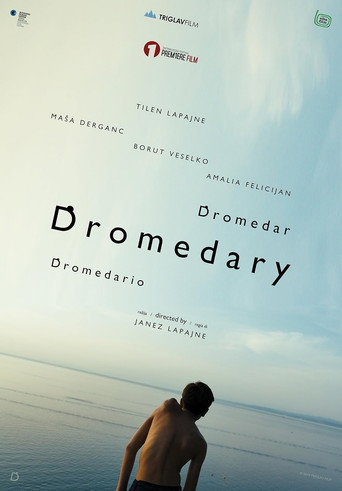 Dromedary movie poster