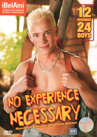 No Experience Necessary movie poster