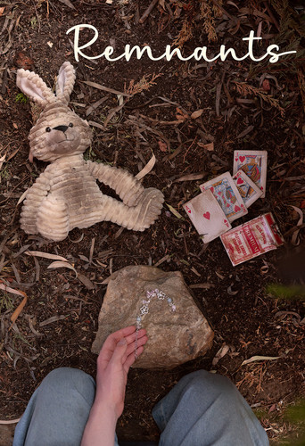 Remnants movie poster