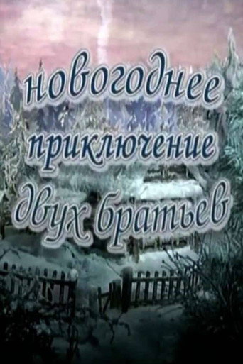 New Year's Adventure of Two Brothers movie poster