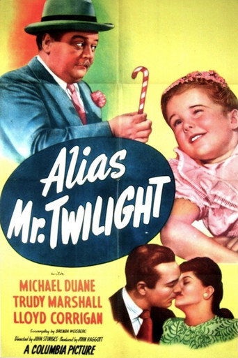 Alias Mr. Twilight movie poster