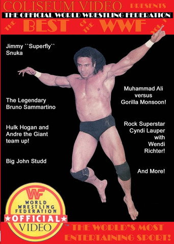 Best of the WWF Volume 1 movie poster