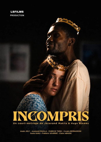 Misunderstood movie poster