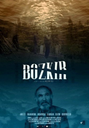Steppe movie poster