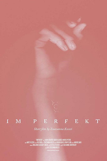 IM Perfekt movie poster