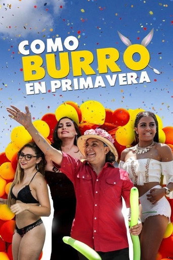 Como burro en primavera movie poster