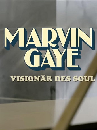 Marvin Gaye - Visionär des Soul movie poster