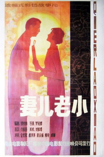 Qi er lao xiao movie poster