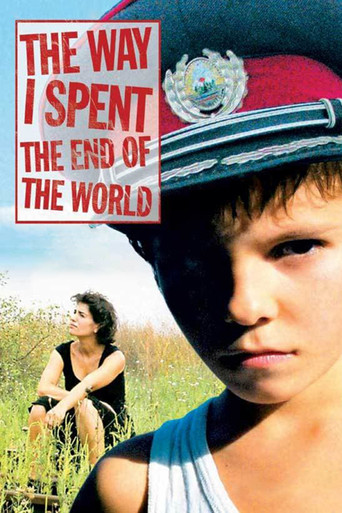 The Way I Spent the End of the World movie poster