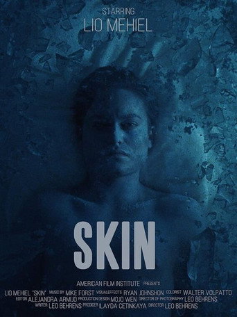 Skin movie poster