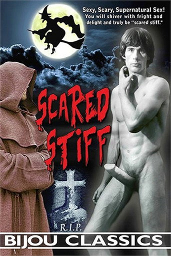 Scared Stiff movie poster