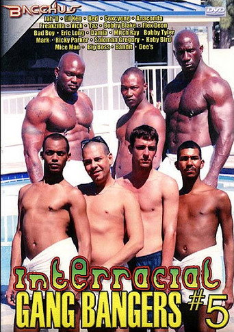 Interracial Gang Bangers 5 movie poster