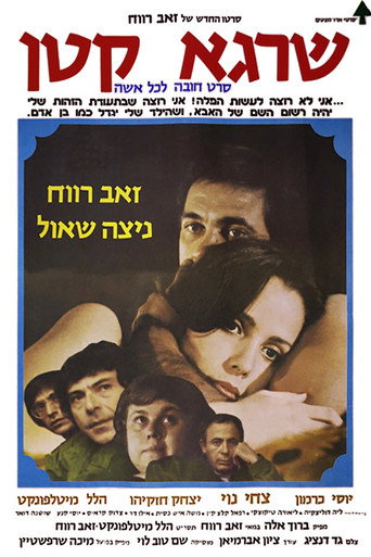 Little Man movie poster