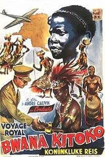 Bwana Kitoko movie poster