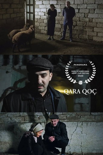 Black Aries movie poster