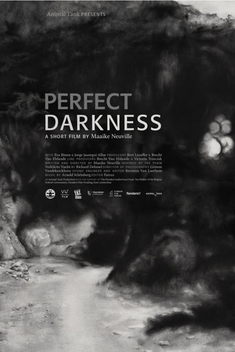 Perfect Darkness movie poster