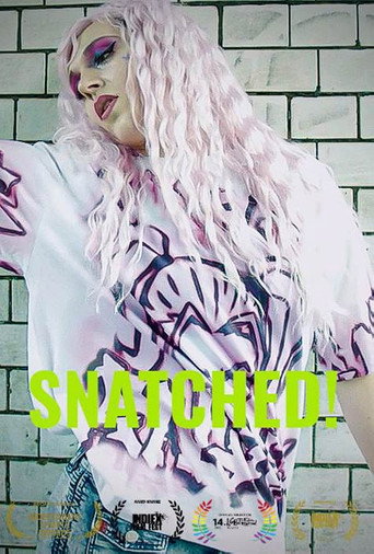 Snatched! movie poster