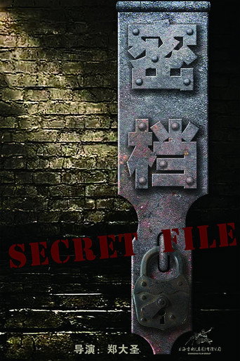 Secret File movie poster