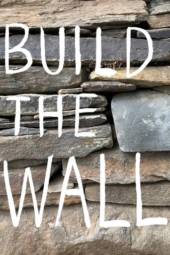 Build the Wall movie poster