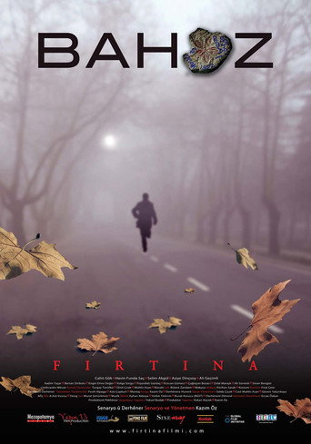 The Storm movie poster
