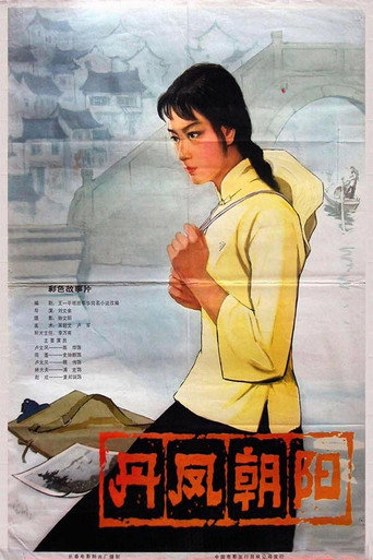 A Embroider Maiden movie poster