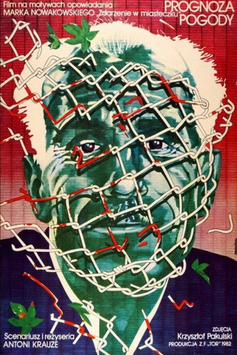 The Weather Forecast movie poster